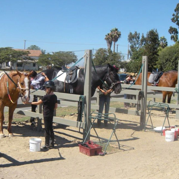 Summer Camp Ivey Ranch Park Association 501(c)(3) NonProfit