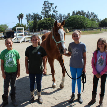 Ivey Rides Therapeutic Riding & Inclusive Care | Ivey Ranch