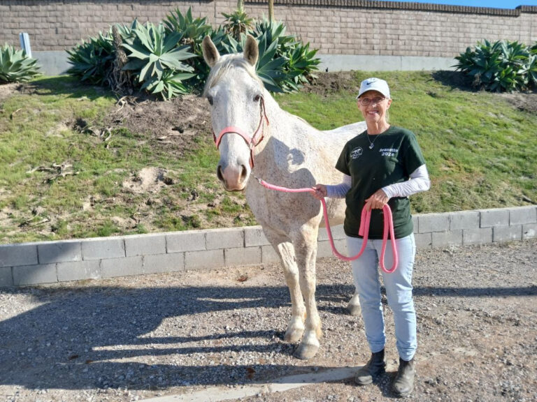 Horse & Volunteer Spotlight - Jeannette A. & Scooter - Ivey Ranch Park ...