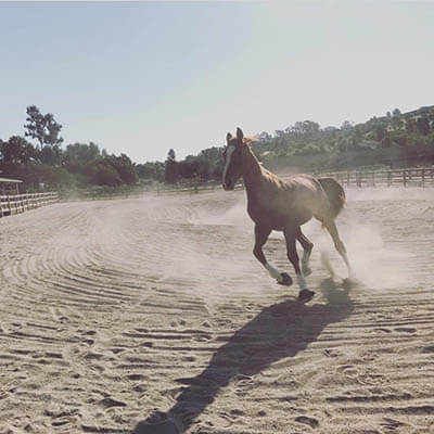 Anastasiia Hrobova, ADP and School-Age Program Teacher at Ivey Ranch Park Association in Oceanside, CA