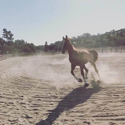 Mekayla Navarro, Care Program Teacher at Ivey Ranch Park Association in Oceanside, CA