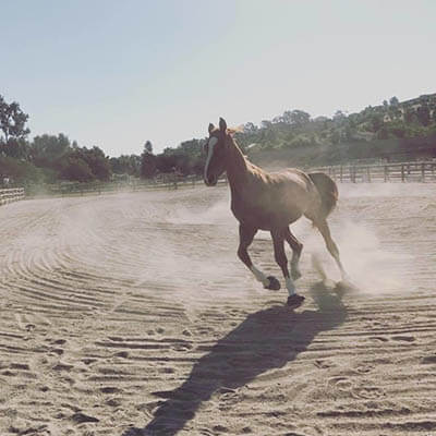 Zoe Seward, Instructor's Aide at Ivey Ranch Park Association in Oceanside, CA