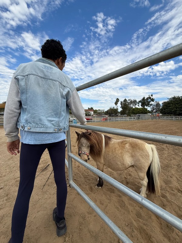 Adult day program participant interacting with horse during equestrian therapy session at Ivey Ranch
