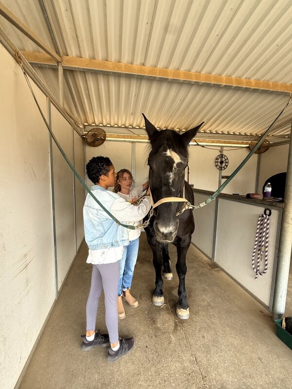 Participant grooming black horse together in stable during equine therapy session
