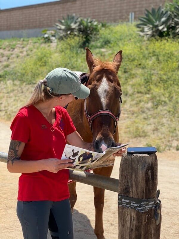 Equine-assisted therapy sessions available for adults with developmental disabilities at Ivey Ranch