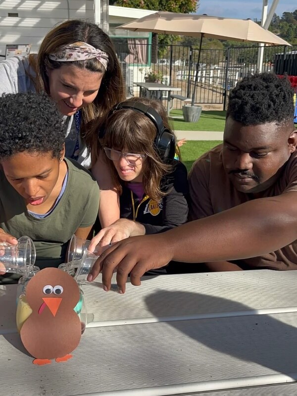 Adults with developmental disabilities in therapeutic group setting