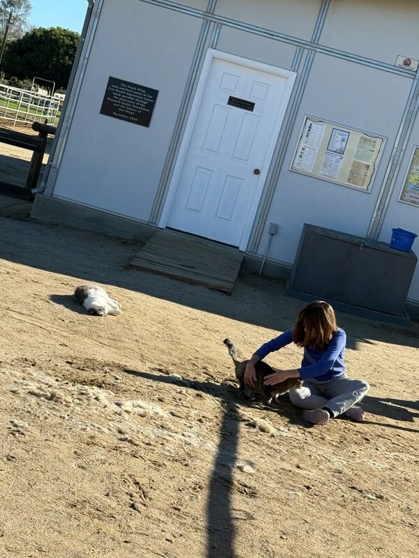 Participant sitting on ground bonding with ranch cat
