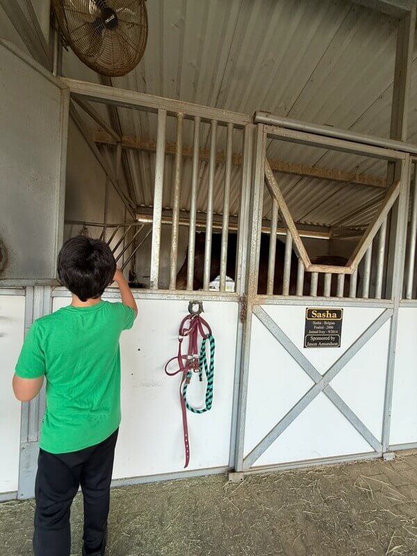 Boy in green shirt reaching up to greet horse through stall window with nameplate reading Sasha during equine therapy visit