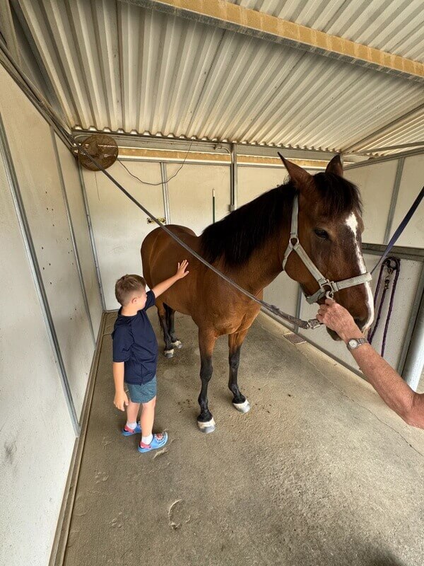 Young boy gently touching brown horse with white blaze under supervision of staff member in clean stable area