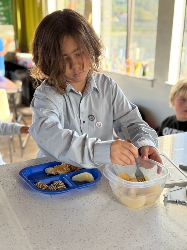 Student making nutritious lunch with blue divided tray and clear container showing independent mealtime skills in bright classroom