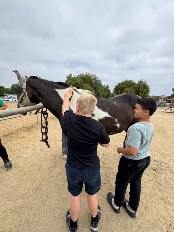 Two children learning to brush and groom black and white paint horse in outdoor stable area with cloudy sky