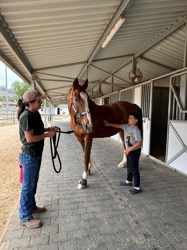Staff member teaching boy about horse handling and care while standing with chestnut therapy horse in covered stable area
