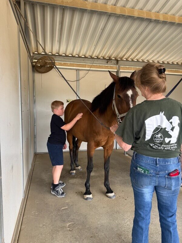 Boy gently touching brown therapy horse while staff member holds lead rope teaching safe animal handling