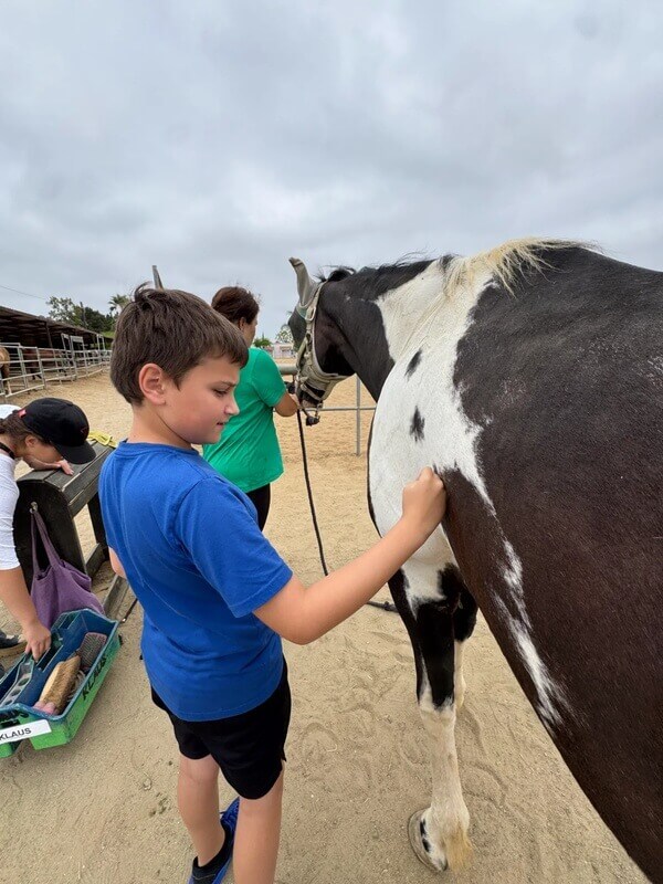 Boy stroking black and white paint therapy horse while other children participate in equine interaction activity