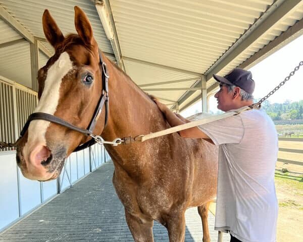 Participant in the Tailored Day Service at Ivey Ranch helping with horse care