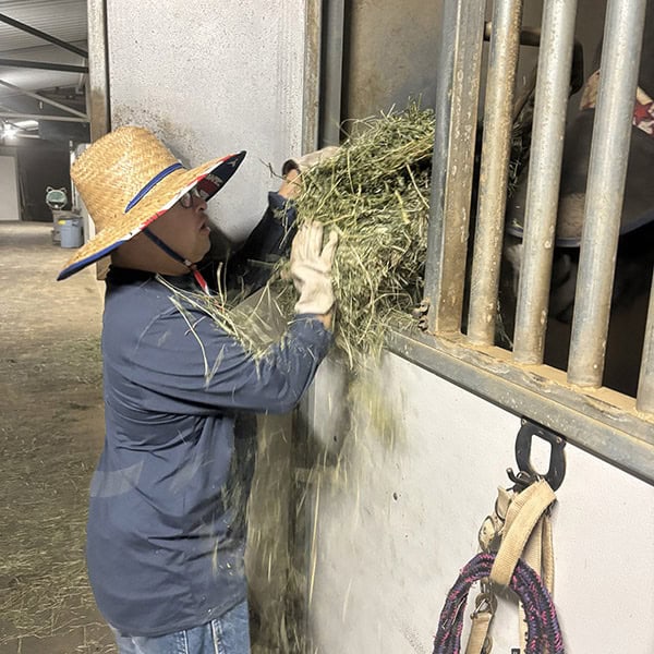 TDS participant feeding a horse