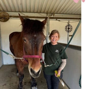 Volunteer Ann H. and Belgian Draft Horse Sasha