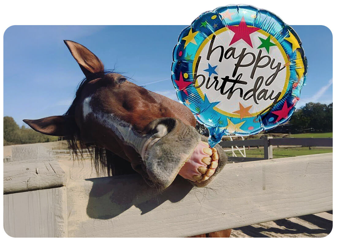 A chestnut horse leans over a fence with a happy birthday balloon, welcoming guests to a Birthday at the Ranch celebration at Ivey Ranch in Oceanside, CA.