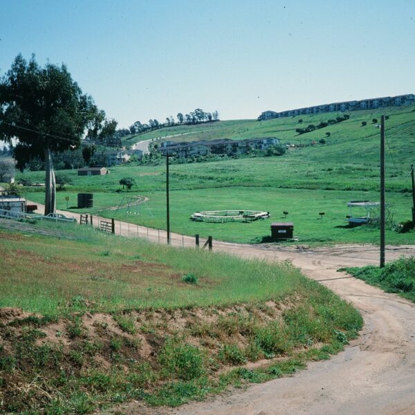 Historical photograph of the Ivey Ranch property grounds in Oceanside, CA taken in 1987