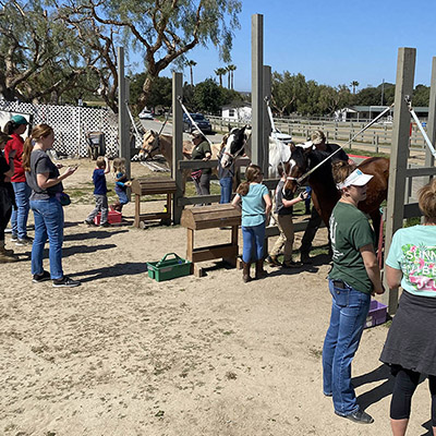 Families and children meeting and grooming horses at an Ivey Ranch Park Association Meet and Greet in Oceanside CA