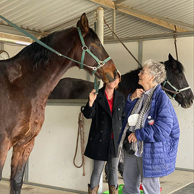 Visitor meeting a therapy horse during an Ivey Ranch Park Association Meet and Greet in Oceanside CA
