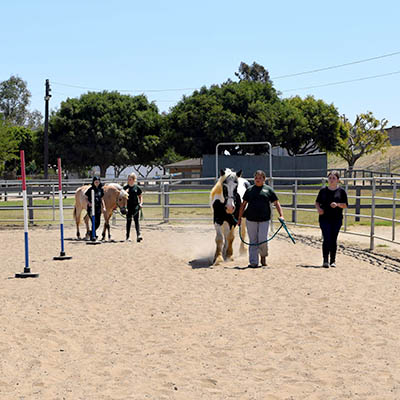 Summer Horse Camp interns working with horses in the arena during training at Ivey Ranch Park Association in Oceanside CA