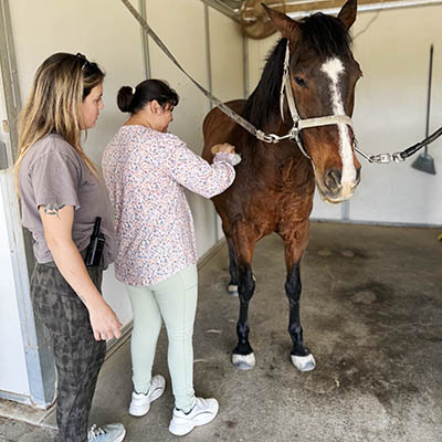 Out-of-home respite participant learning horse grooming during skills training at Ivey Ranch in Oceanside, CA
