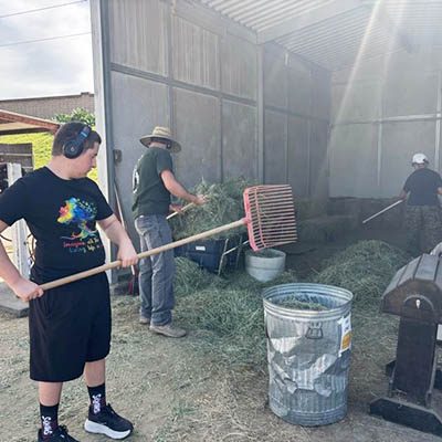 Tailored Day Service participants moving hay during barn chores at Ivey Ranch in Oceanside, CA