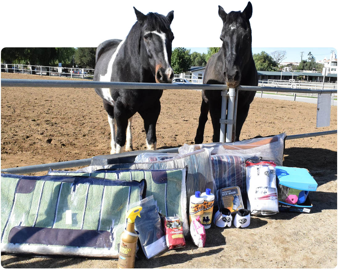 Two horses at the fence beside donated supplies at Ivey Ranch in Oceanside, CA