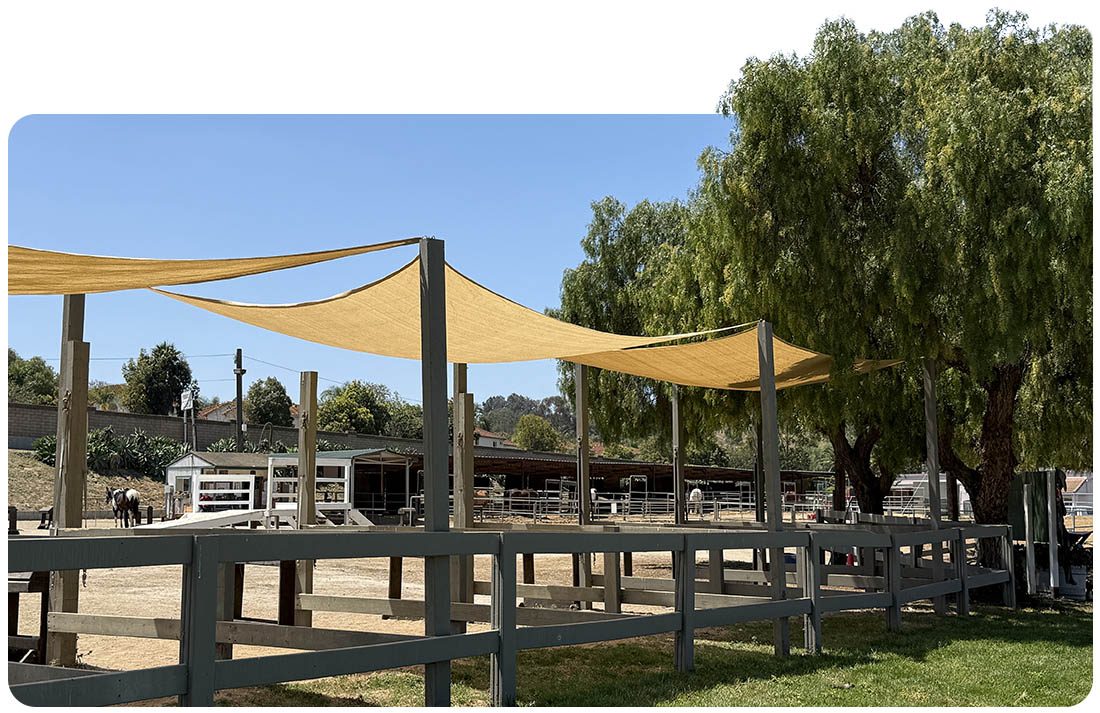 Shaded riding arenas and horse paddocks at Ivey Ranch in Oceanside, CA