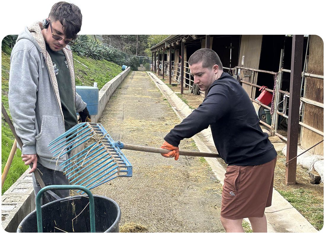 Volunteers raking and clearing stalls along the barn aisle at Ivey Ranch in Oceanside, CA