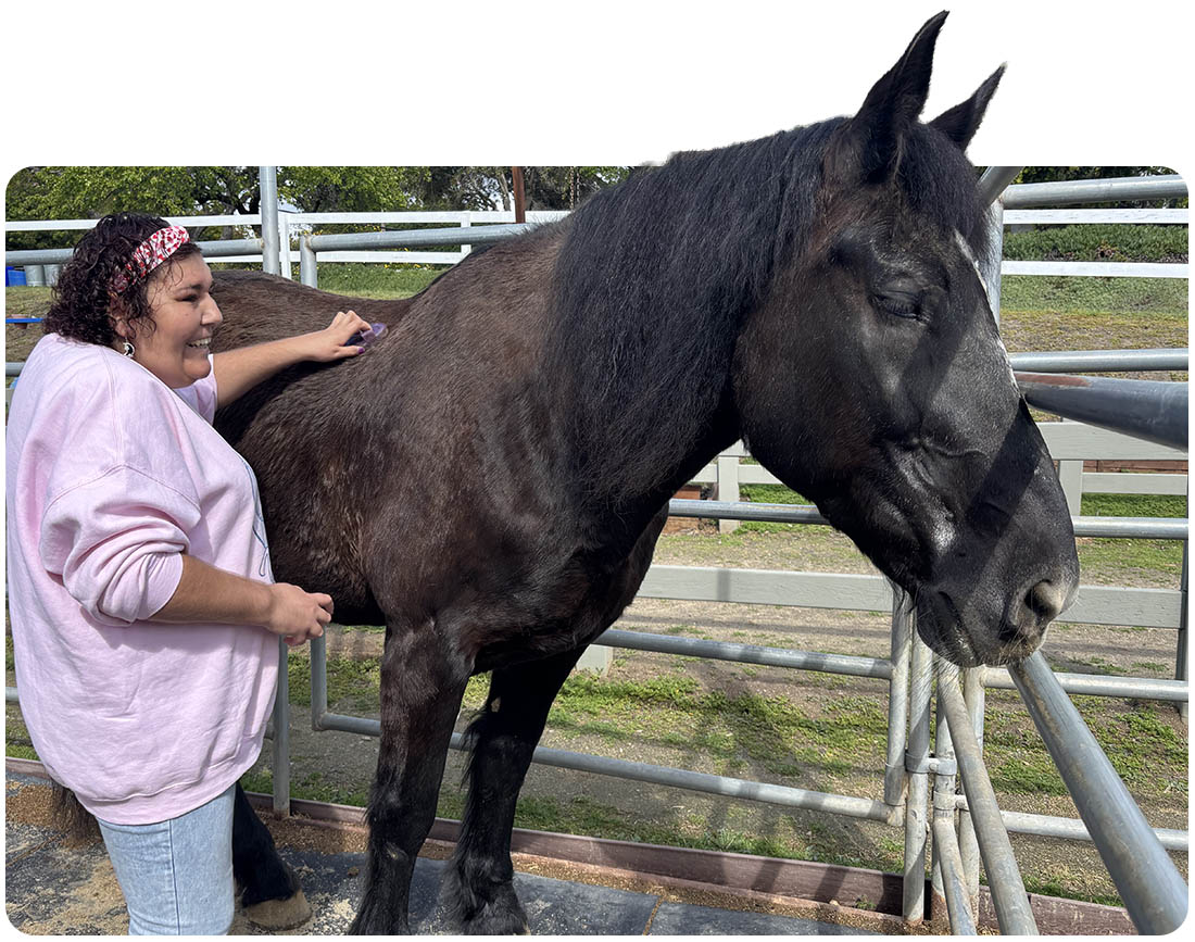 Volunteer grooming a horse in the corral at Ivey Ranch in Oceanside, CA