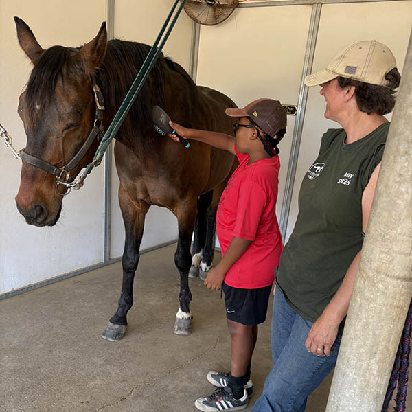 Child brushing a horse during a Meet and Greet at Ivey Ranch in Oceanside, CA